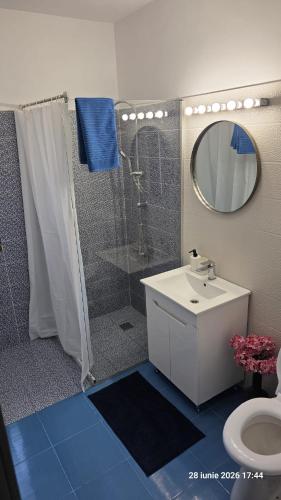 a bathroom with a shower and a sink and a mirror at Casa Magurele in Măgurele