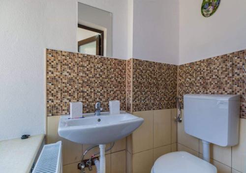a bathroom with a sink and a toilet and a mirror at The Stone Garden Apartment - free parking, private yard in Sinaia