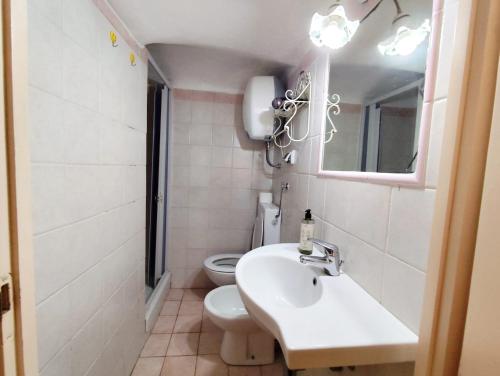 Tasso Basement Apartment
