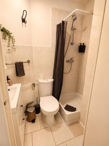 Studio Cosy et climatisé Place DARCY