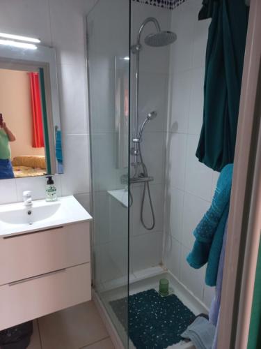CANET Plage appartement vue latérale mer, 1 chambre , WIFI, climatisation, parking sécurisé couvert