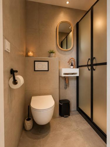 a bathroom with a toilet and a sink and a mirror at Ecolodges De Dreef Guesthouse in Renesse