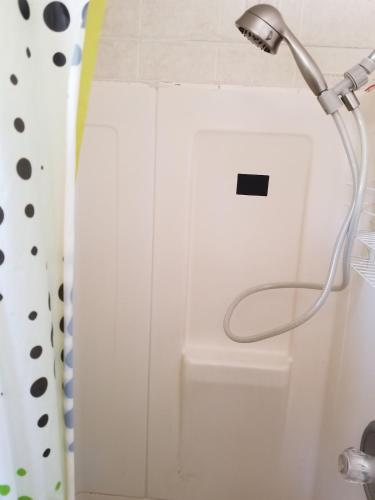 a shower with a shower head in a bathroom at ARMANI MANOR rustic spacious 2br unit 1 in Wildwood