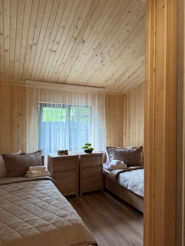 a bedroom with two beds and a window at Forest Solotvyno in Solotvyno