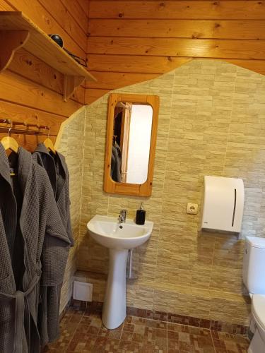 a bathroom with a sink and a mirror at Jumpravmuižas pirtiņa ar kublu in Mežotne