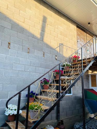 a staircase with potted plants on the side of a building at Bloom Guest House in Tërt-Kul'