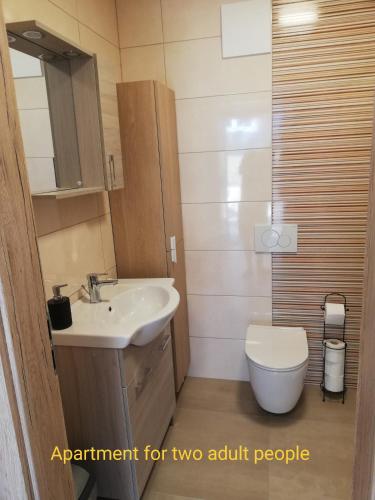 a small bathroom with a sink and a toilet at Apartments SEEA in Izola