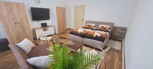 a living room with a bed and a tv at Sabina Apartmani in Tuzla