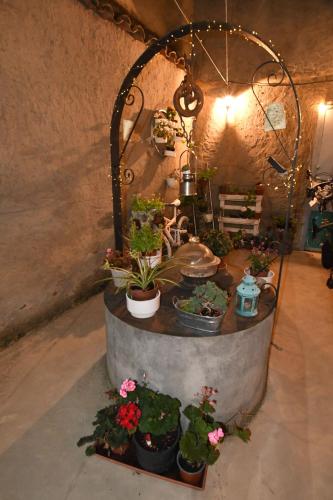 a group of potted plants on a table in a room at CASA PITA Completa Grupos in San Justo de la Vega