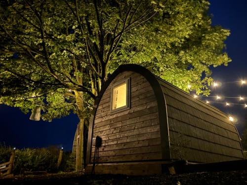 a small cabin under a tree at night at Pentland View Campsite in Haywood