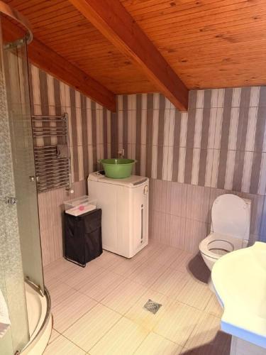 a bathroom with a toilet and a green sink at Sonya Apartments in Mesochórion