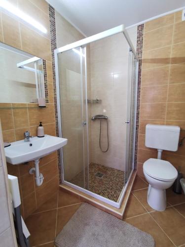 a bathroom with a shower and a toilet and a sink at Mátra Kulcsosház - Mátraszentimre in Mátraszentimre