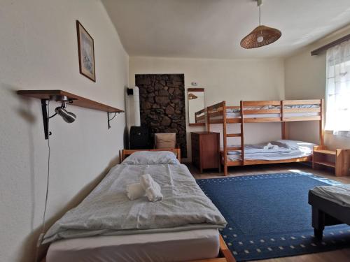 a bedroom with a bed and two bunk beds at Mátra Kulcsosház - Mátraszentimre in Mátraszentimre