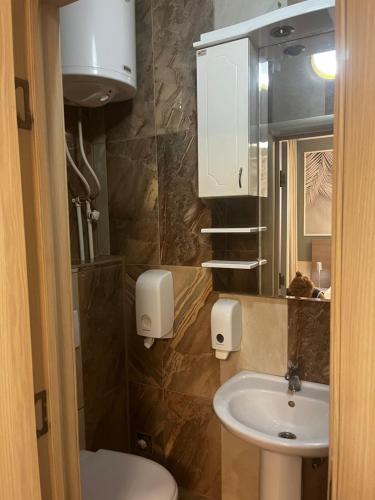 a bathroom with a sink and a toilet and a mirror at Bed & Coffee LUKAS Krusevac in Kruševac