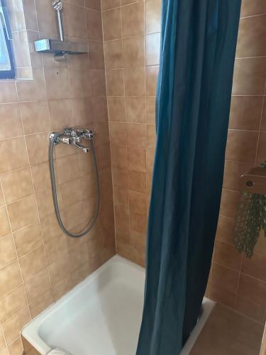 a shower with a blue shower curtain in a bathroom at Apartmani Krk in Krk