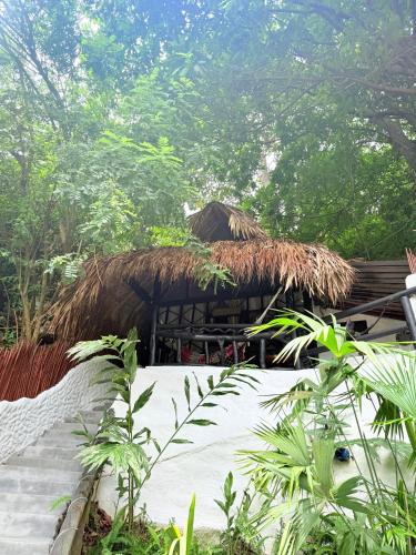 a hut with a thatched roof in a forest at Monte Verde Tayrona in El Zaino