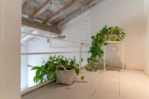Fossi Central Living