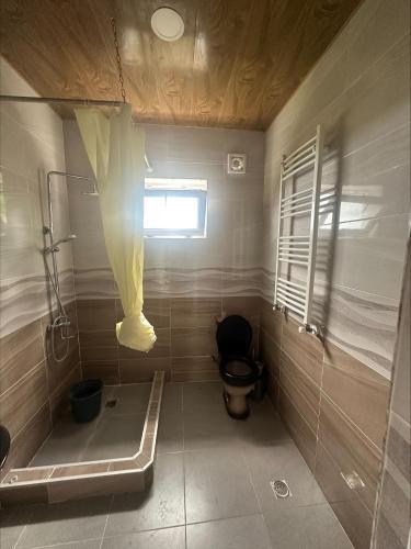 a small bathroom with a toilet and a window at house chito in Tsqaltubo