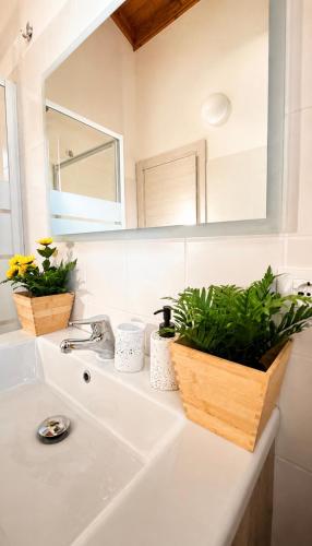 a bathroom sink with a mirror and plants on it at Rousmoosen house in Rocca San Giovanni