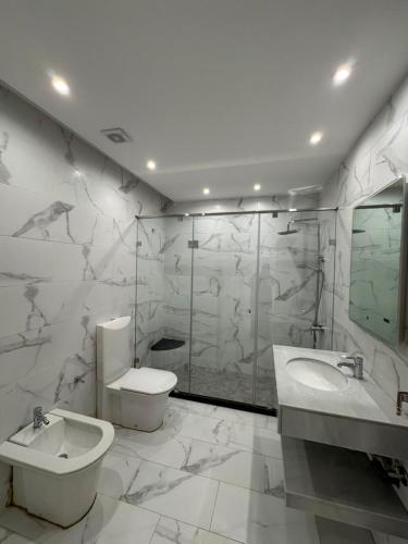 a bathroom with a toilet and a sink and a shower at Marina Puerto in Marina Smir