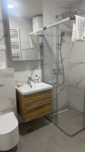 a bathroom with a shower and a sink and a toilet at North & South Escape Kolašin in Kolašin