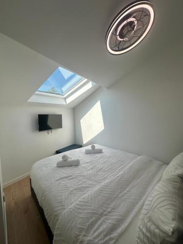 Le nid du bassin duplex neuf climatisé plage à pieds