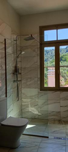 a bathroom with a shower and a toilet and a window at Meraki Villa Pelion in Kalamos