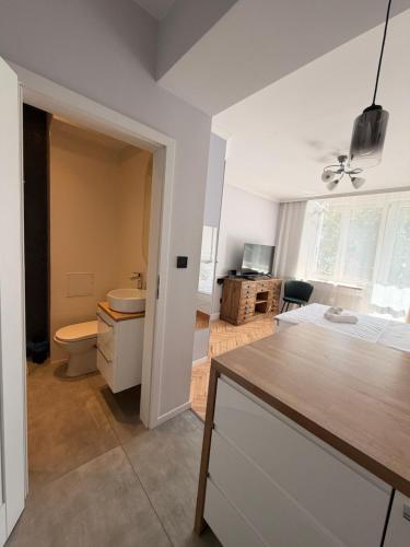 a bathroom with a sink and a toilet in a room at Apartament centrum in Białystok