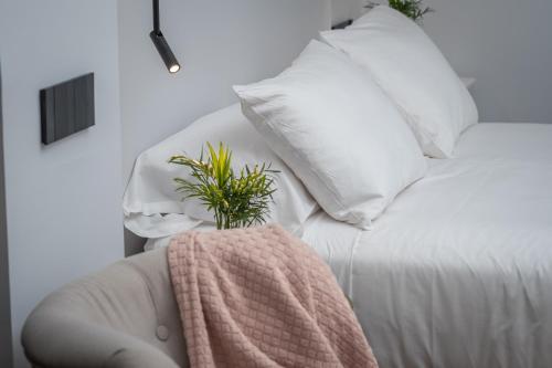 Príncipe de Vergara Rooms