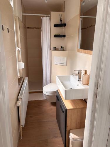 a small bathroom with a sink and a toilet at StadtQuartier Gardelegen in Gardelegen