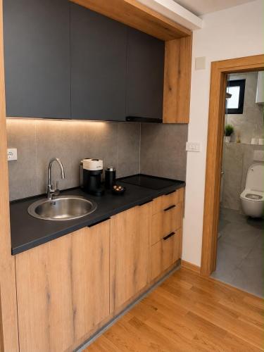 a kitchen counter with a sink and a toilet at Treska Kop Luccas Residence in Cajetina