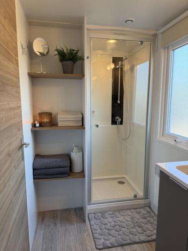 a walk in shower in a bathroom with a sink at Tiny House in Jukkasjärvi in Jukkasjärvi
