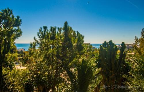 PAX Benalmádena Suites photo 20
