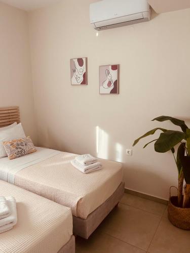 two beds in a room with a potted plant at Thalassa Grammeno seaview house in Palaiochora