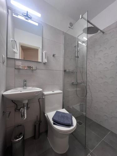 a bathroom with a toilet and a sink and a shower at Kea Harbor 1 in Korissia