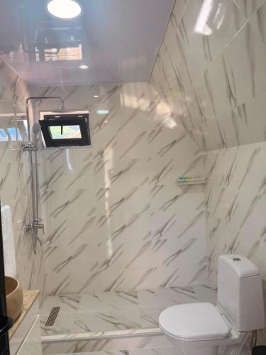 a bathroom with a toilet and a tv in it at Tobani Cottage Kazbegi in Kazbegi