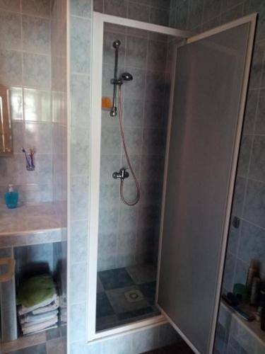 a shower with a glass door in a bathroom at Vidiecky dom in Veľký Krtíš