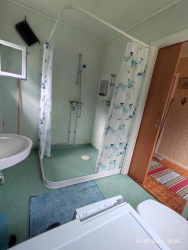 a bathroom with a shower and a toilet and a sink at Valiant B&B in Otterbäcken