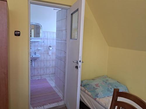 a bathroom with a walk in shower and a sink at Kwatery u Potoków in Piwniczna-Zdrój