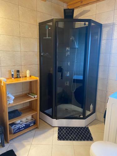 a shower with a glass door in a bathroom at Zielona Dolinka in Kostrzyca