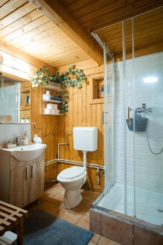 a bathroom with a toilet and a shower and a sink at Cabana Toth Mic&Mare in Sovata