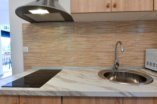 a kitchen with a stainless steel sink and wooden cabinets at Guesthouse Spektar in Irinovac