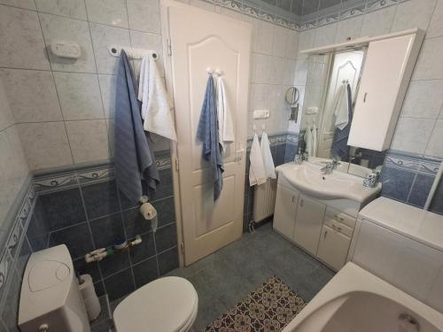 a bathroom with a white toilet and a sink at Blue Iris Apartment in Kecskemét