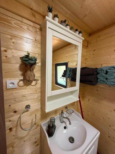a bathroom with a sink and a mirror at Splav Astra Perućac in Perućac