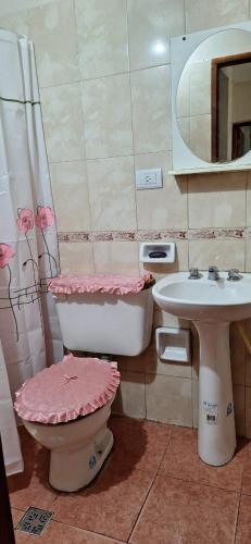 a bathroom with a pink toilet and a sink at Ciudad de Nieva a pasos de Ciudad Cultural in San Salvador de Jujuy