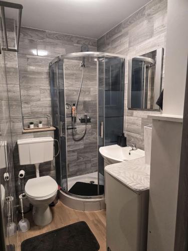a bathroom with a shower and a toilet and a sink at Boho Quiet Studio Kraków in Krakow