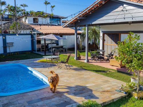 a dog standing next to a swimming pool at HOSTEL QUINTAL GUEST - Guarujá in Guarujá
