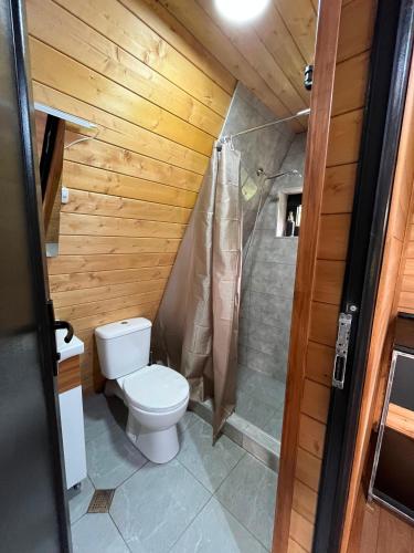 a bathroom with a toilet and a shower at Aba Ula in Martvili