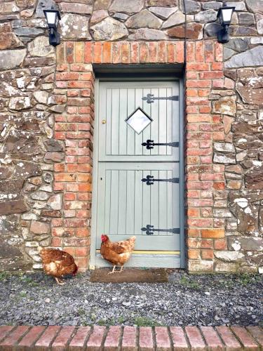 two chickens standing in front of a garage door at Countryside Cottage in Ardee