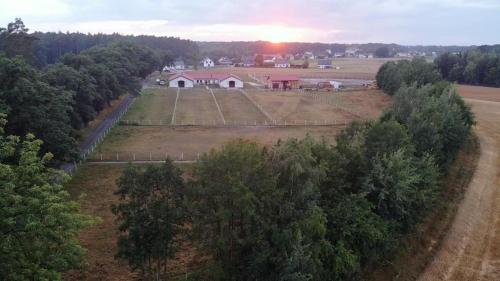an aerial view of a farm with a house and trees at Domek Las&Luz Moszna BALIA in Moszna